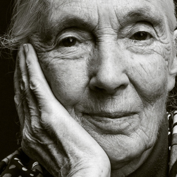 Jane Goodal: 地球と対話した奇跡の人