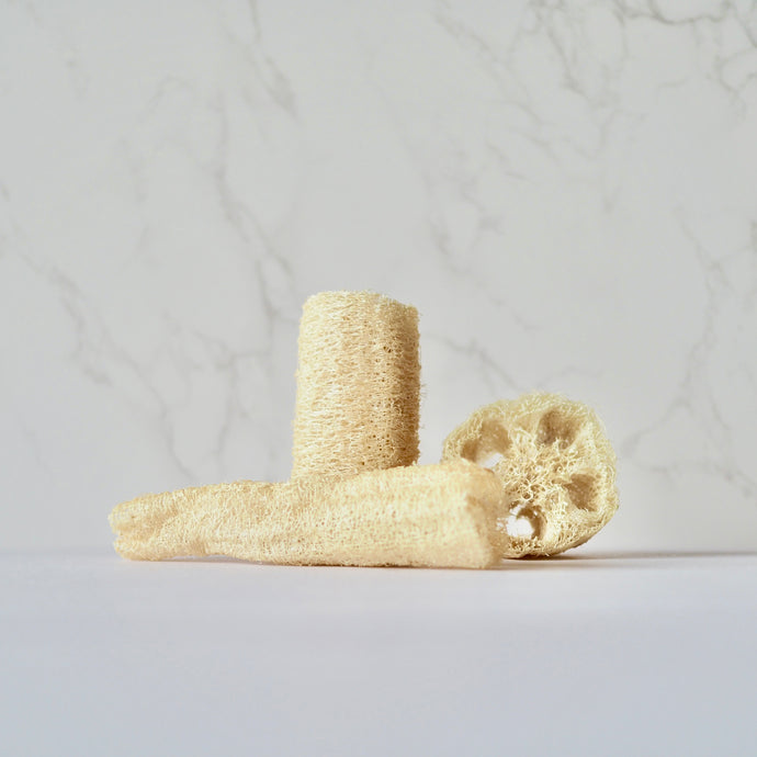 国産ヘチマのはしっこ