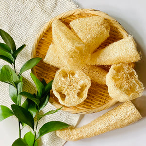 国産ヘチマのはしっこ